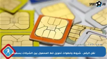 نقل الرقم.. شروط وخطوات تحويل خط المحمول بين الشركات بسهولة